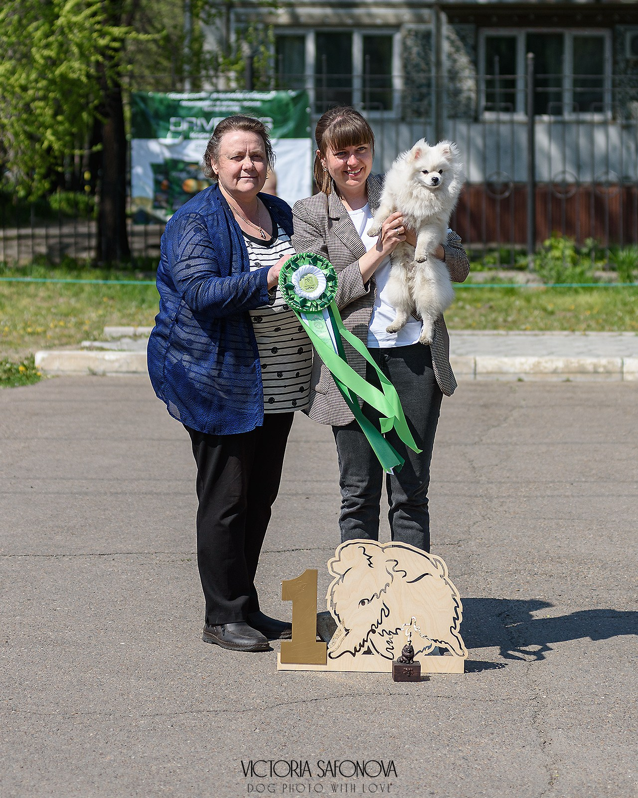 19 мая 2024 Благовещенск. Монопородная выставка шпицев. Фотограф анималист Благовещенск. Сафонова Виктория