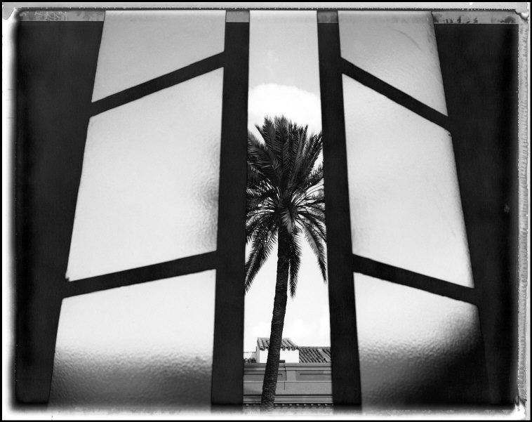 Polaroids. Gueorgui Pinkhassov