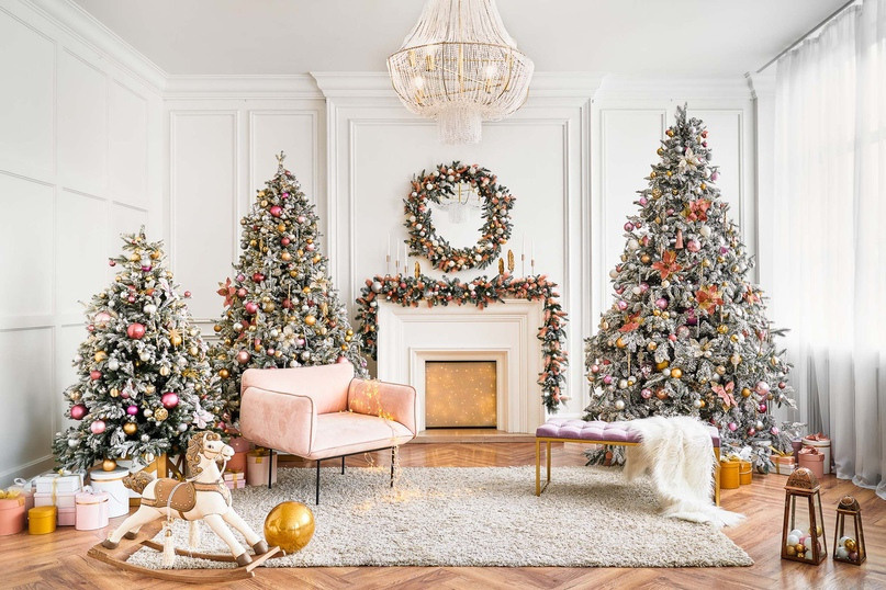 Новогодние фотосессии в студиях Владивостока. Фотограф во Владивостоке