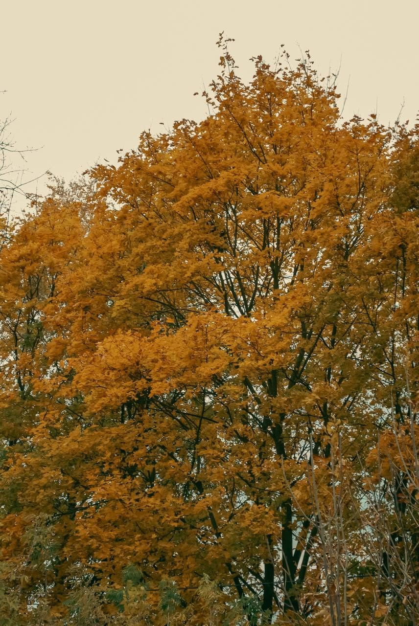 Уличная съемка — Александр и Богдан. Портретный фотограф в Орле. Готовые фото за 3 дня! Помощь в позировании. Советы по организации