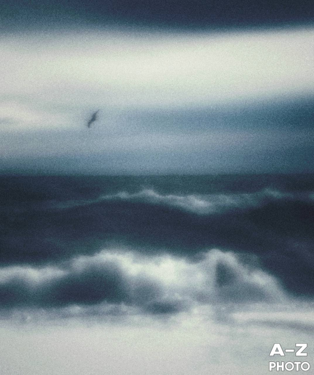 #ФОТОНЕДЕЛИ 26.01.2026. Женский семейный фотограф Тула Москва Захарова Анна