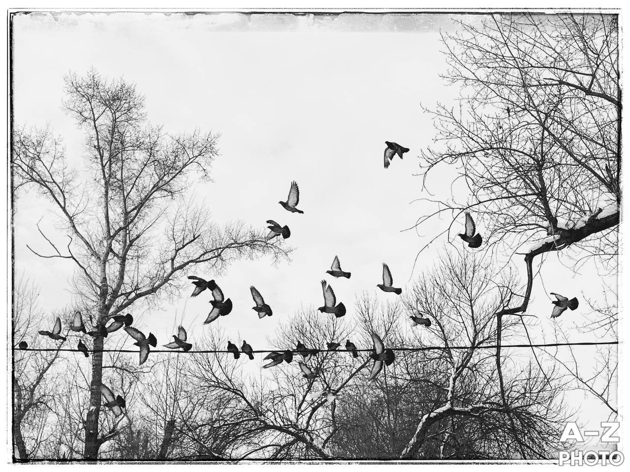 #ФОТОНЕДЕЛИ 19.01.2026. Женский семейный фотограф Тула Москва Захарова Анна