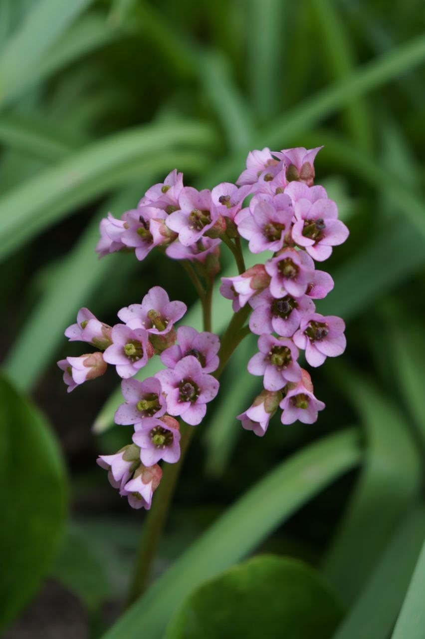 Портфолио. Фотограф в Москве Александра