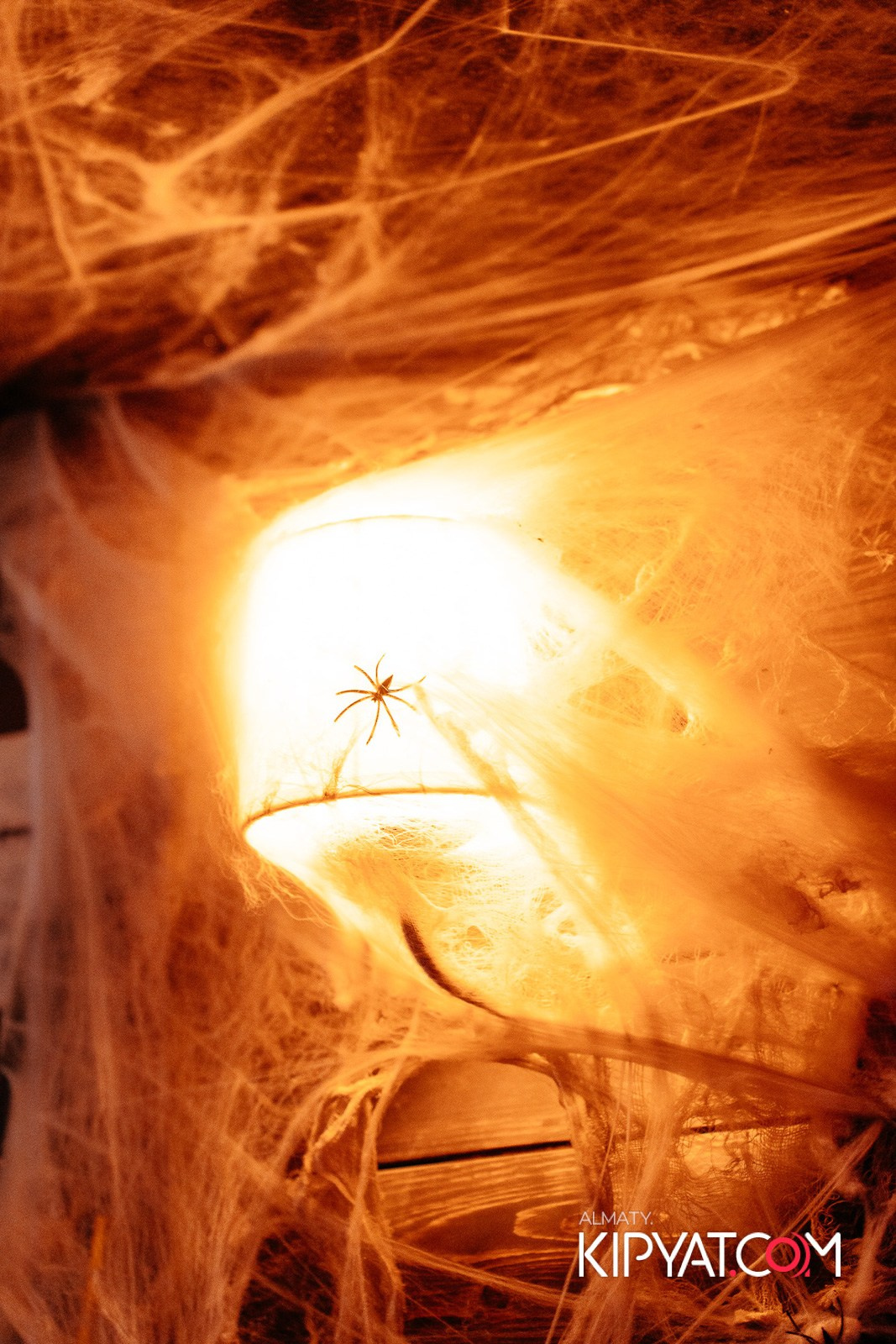 VICTORY PUB. КИПЯТКОМ АЛМАТЫ!