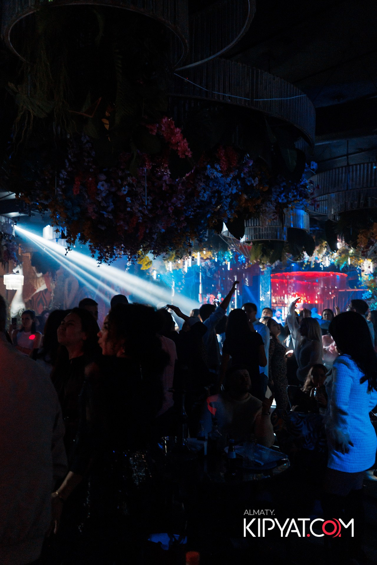 FRIENDS BAR & TERRACE. КИПЯТКОМ АЛМАТЫ! Фотосъемка мероприятий в Алматы