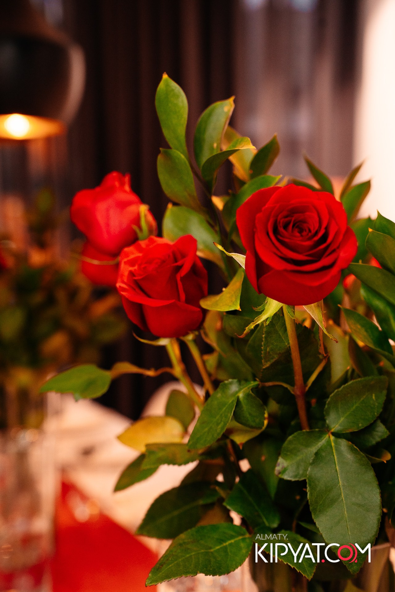 MIELE EXPERIENCE CENTER ALMATY. КИПЯТКОМ АЛМАТЫ!