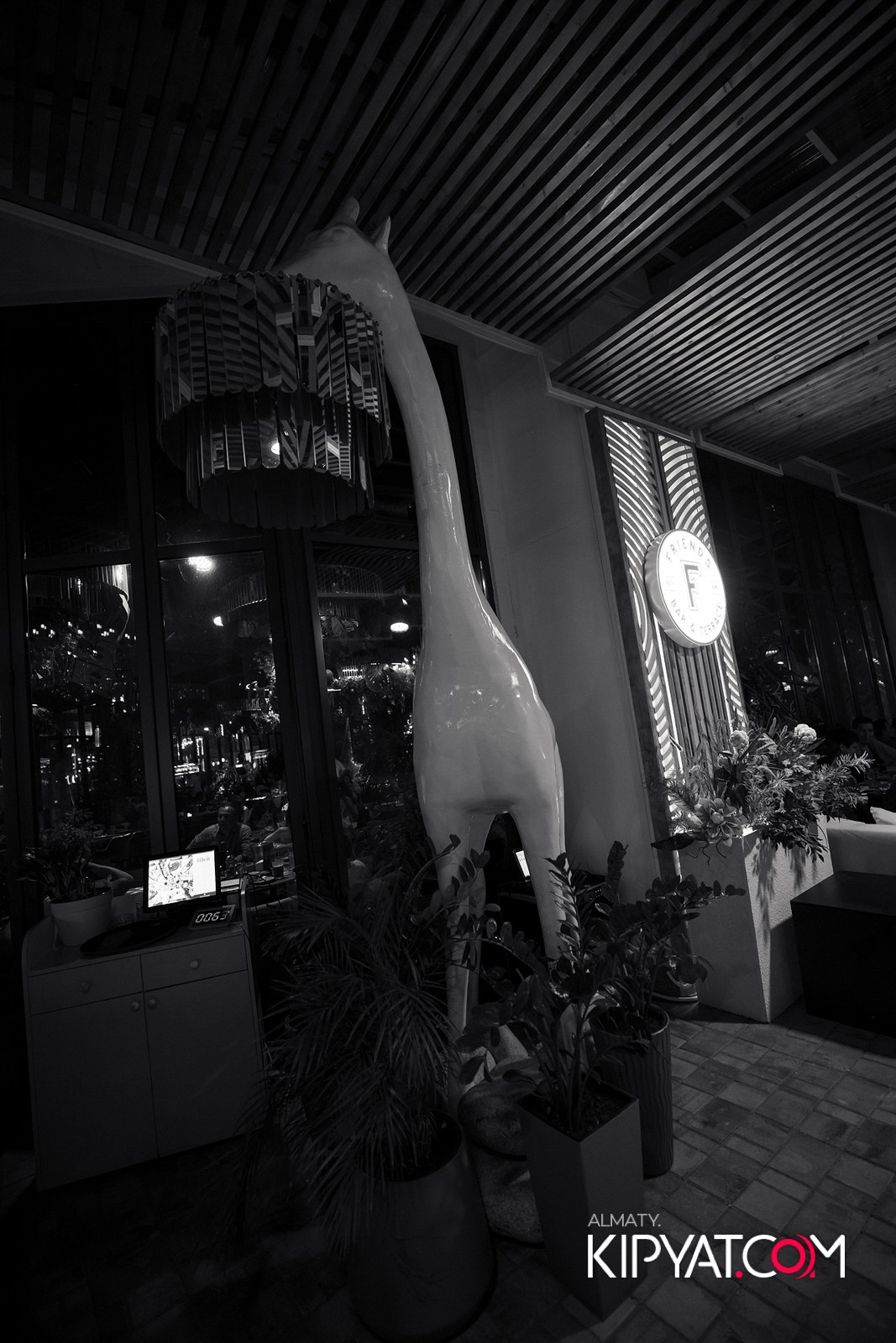 FRIENDS BAR & TERRACE. КИПЯТКОМ АЛМАТЫ!