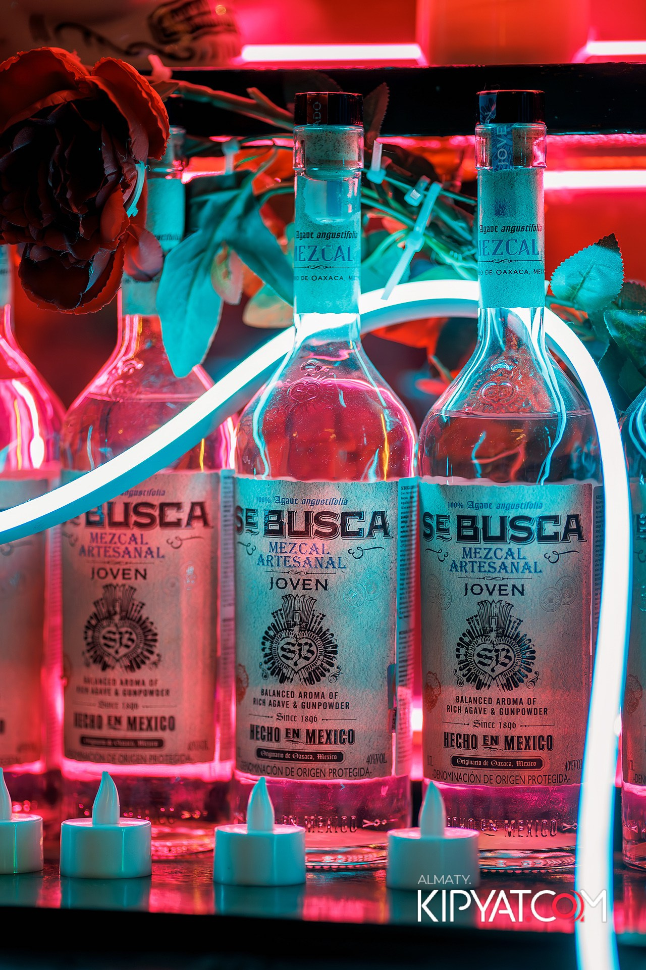 VICTORY MEXICAN AND WILD. КИПЯТКОМ АЛМАТЫ!