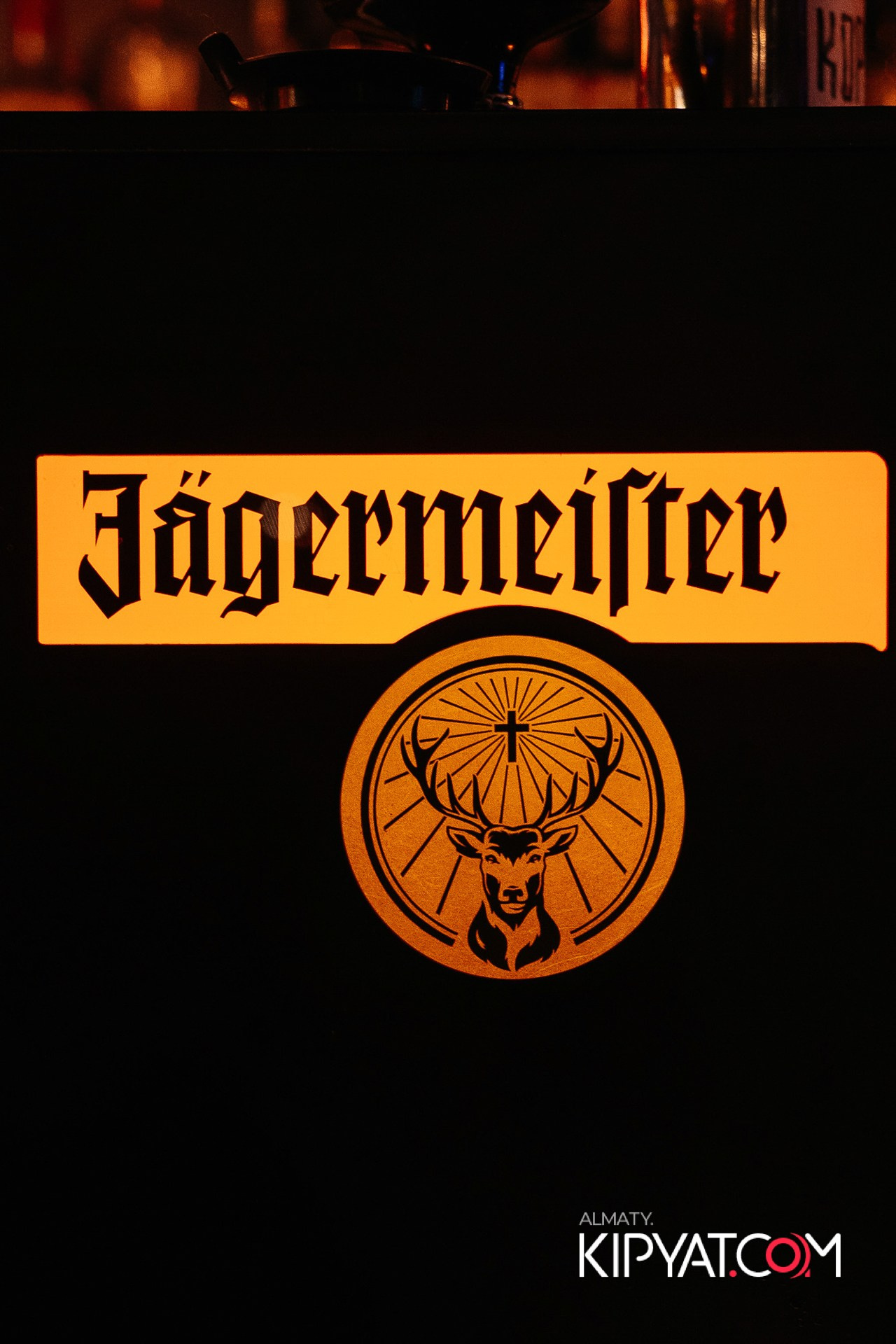 VICE CITY. КИПЯТКОМ АЛМАТЫ! Фотосъемка мероприятий в Алматы