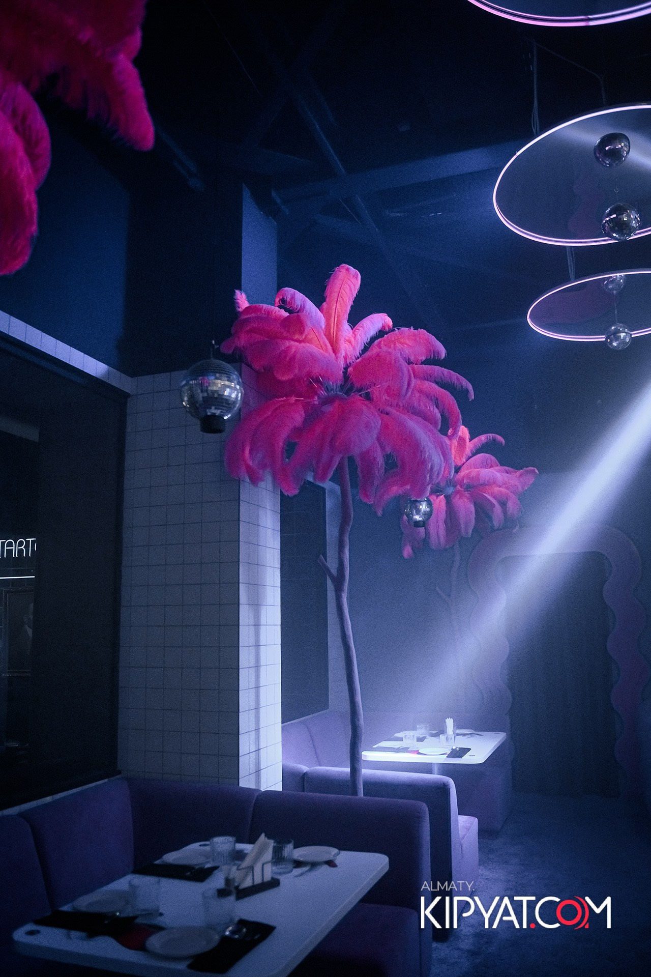 SANTA BARBARA ВЫСТУПЛЕНИЕ ГРУППЫ БРАТЬЯ ГРИММ. КИПЯТКОМ АЛМАТЫ!