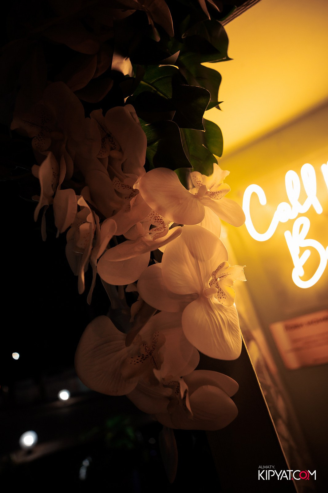 OLOVO BAR НА САТПАЕВА. КИПЯТКОМ АЛМАТЫ!