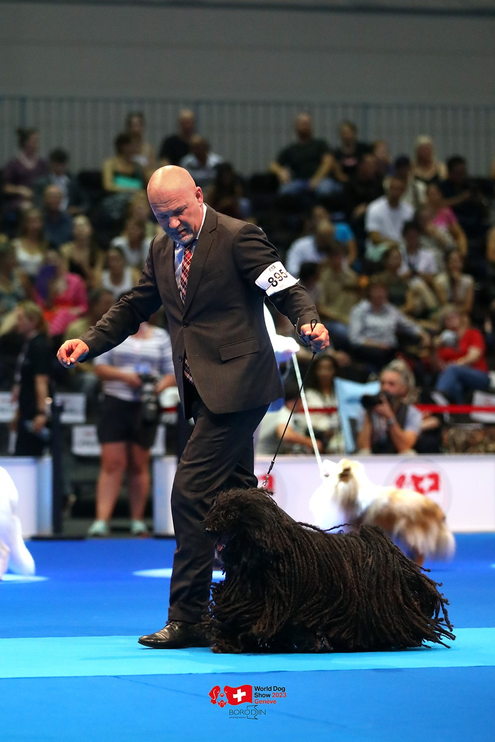 24-27.08.2023 WDS Geneva. Фотограф Дмитрий Бородин