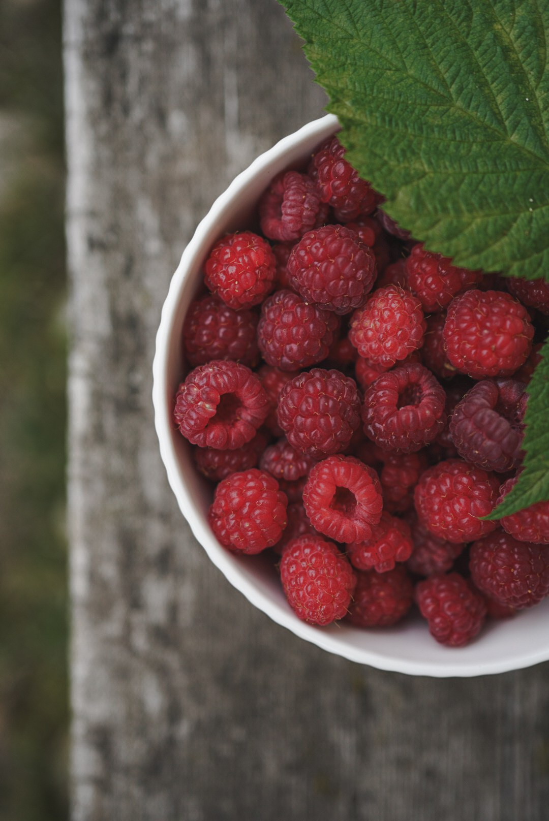 Вкусная еда, красивые натюрморты и природа. Предметный фотограф Санкт-Петербург