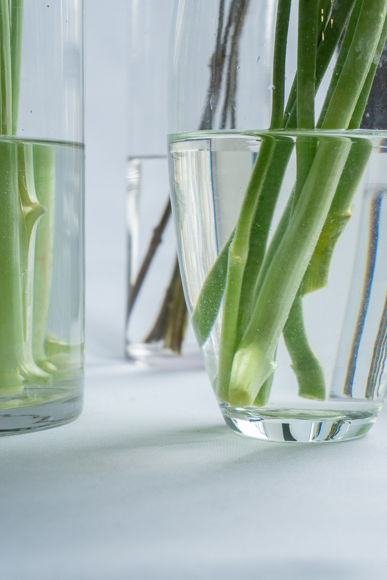 Контент для «Цветочной лавки». Фотограф в Екатеринбурге Яна Круташова