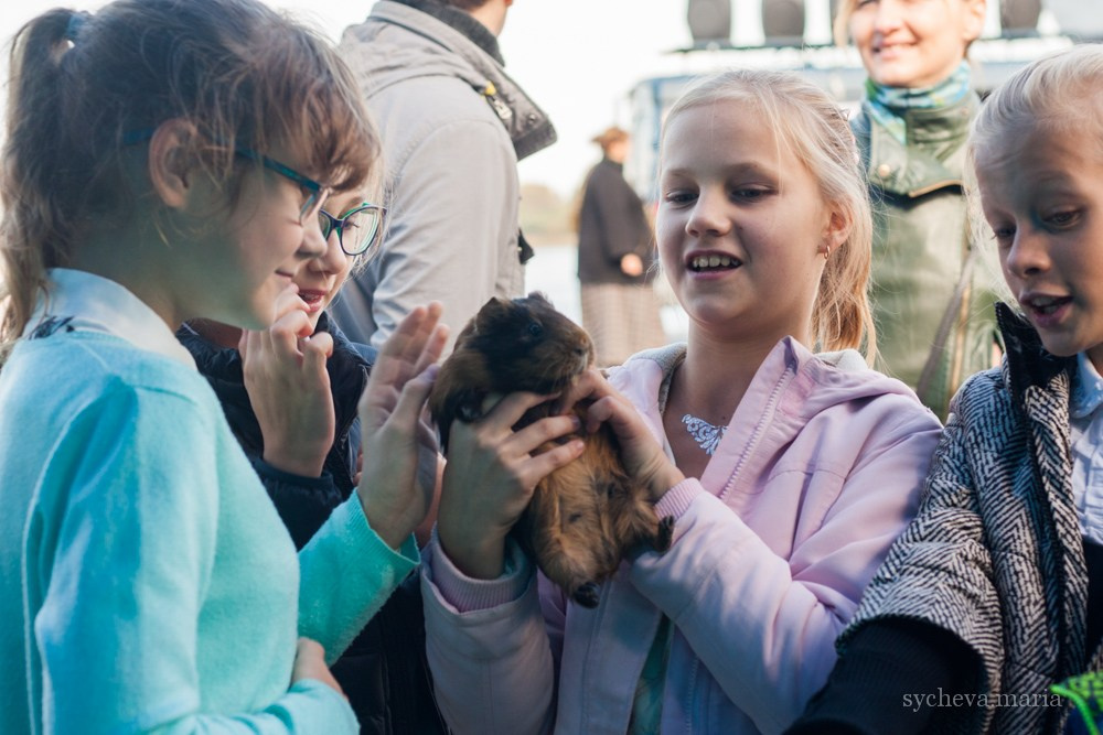 Ярмарка талантов. Детский и семейный фотограф, фотограф мероприятий Нижний Новгород