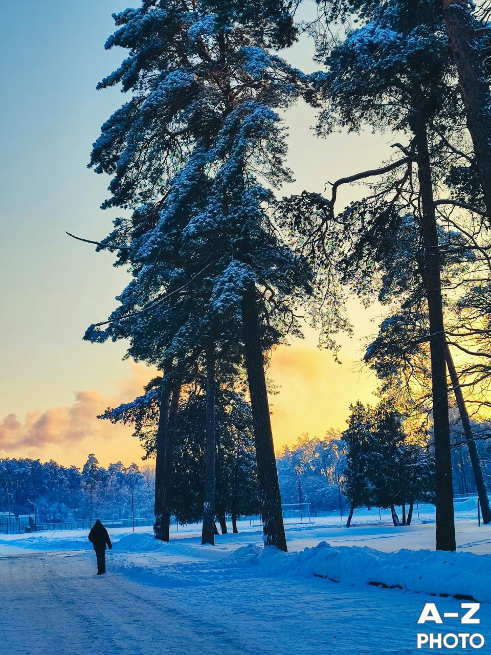 #ФОТОНЕДЕЛИ 02.02.2026. Женский семейный фотограф Тула Москва Захарова Анна