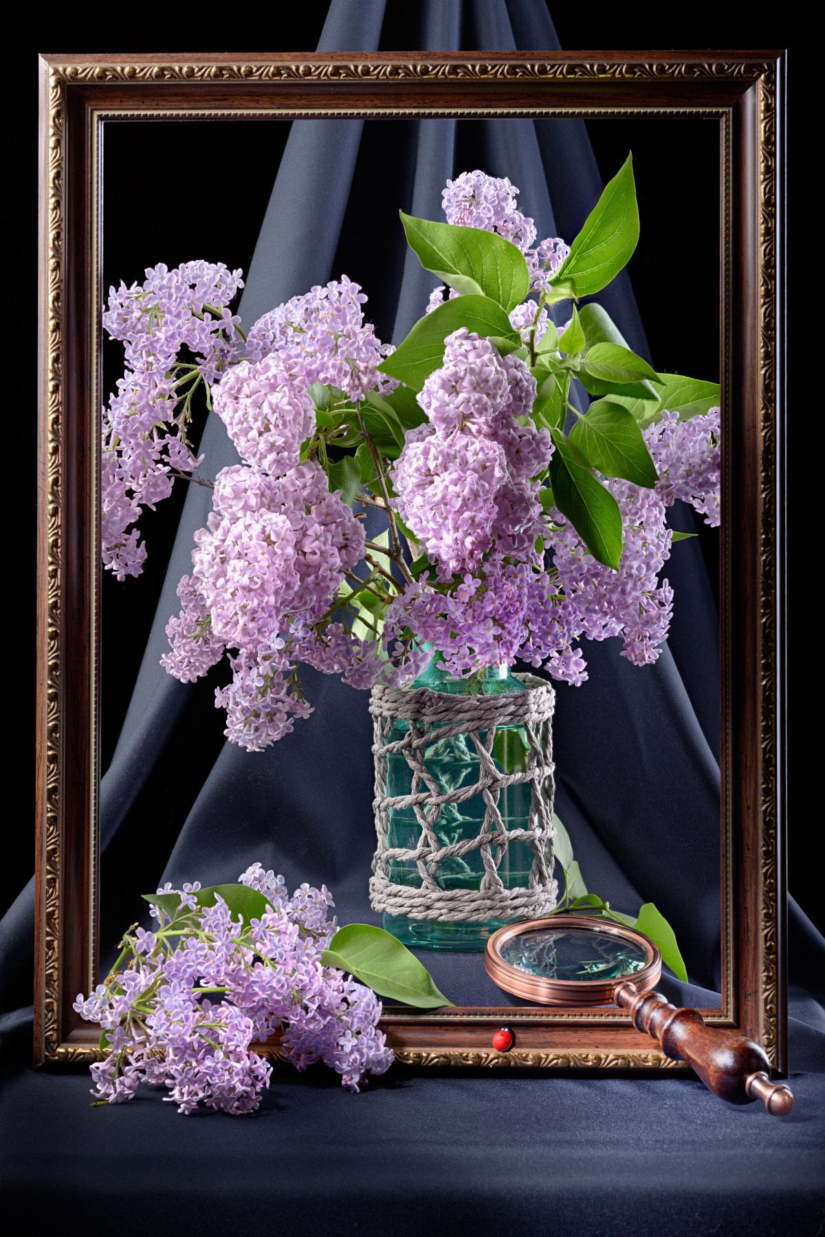 Художественный натюрморты, авторский стиль. Устремляясь ввысь… (фото от автора с ником Tom Fincher)