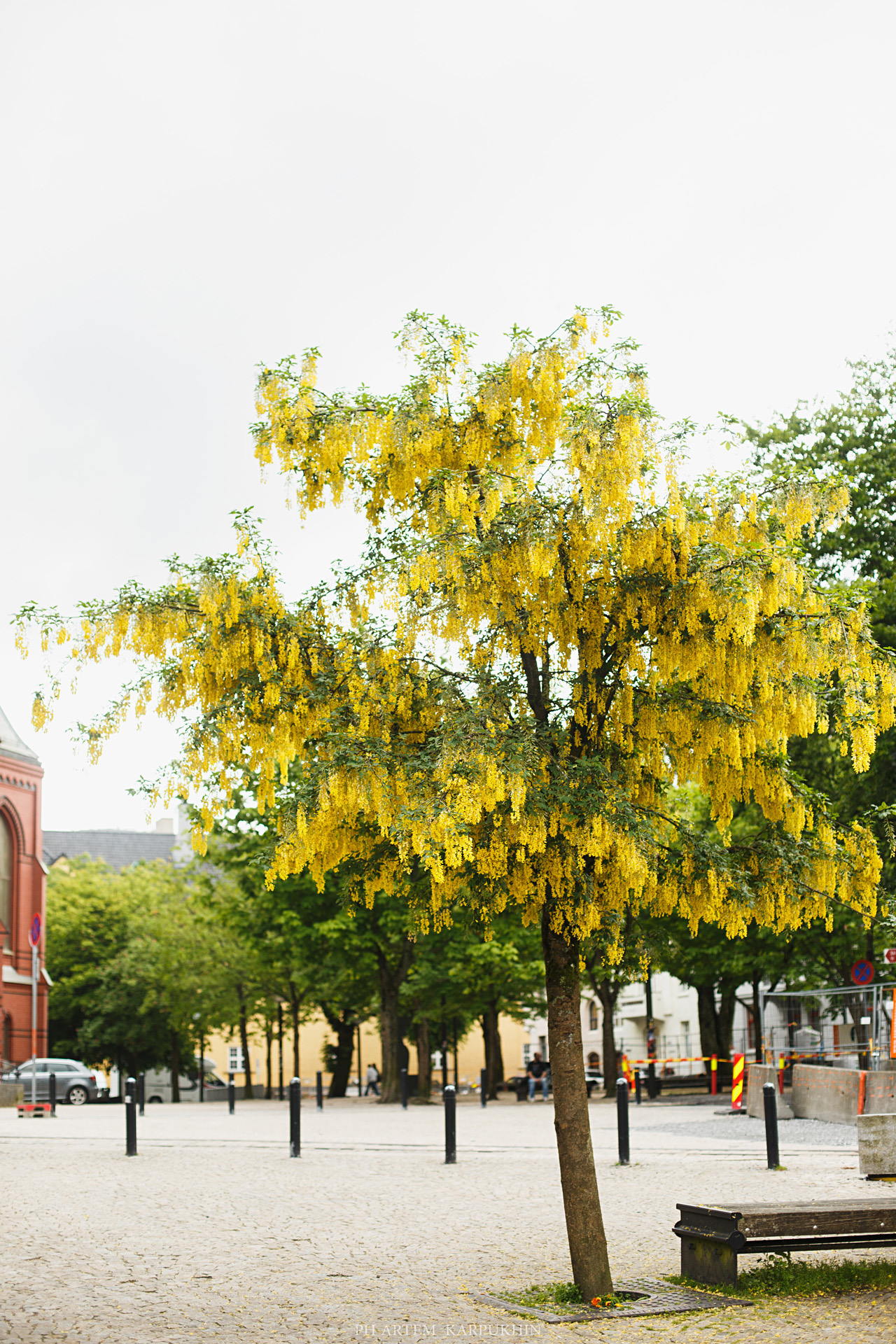 Норвегия. День 2. Bergen. Июнь 2019. Фотограф городских и семейных событий Артем Карпухин