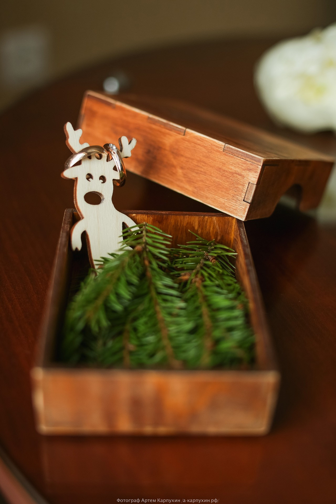 Свадьба на рождество наших близких друзей Коли и Жени 7.01.17. Фотограф городских и семейных событий Артем Карпухин