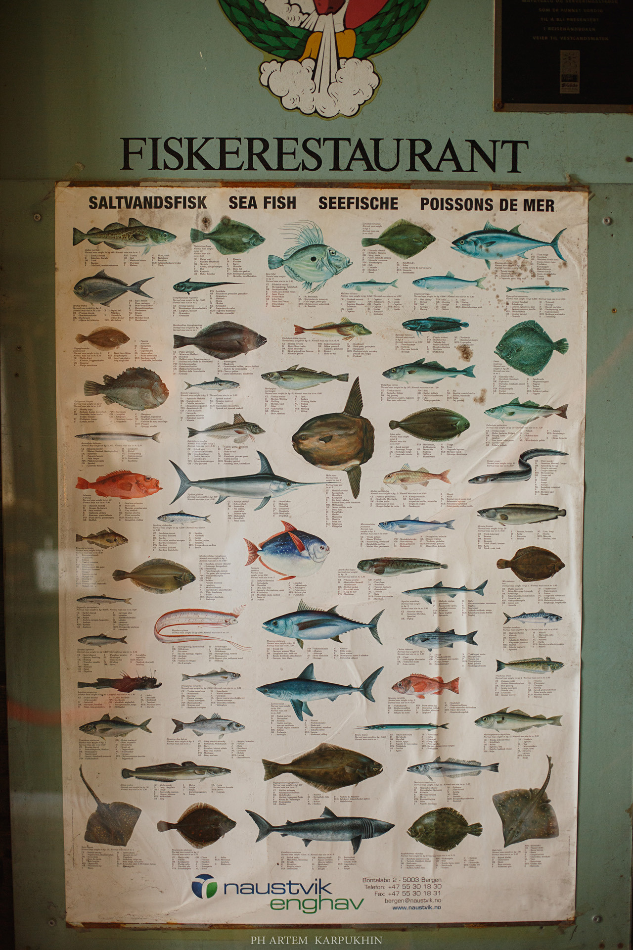 Норвегия. День 2. Bergen. Июнь 2019. Фотограф городских и семейных событий Артем Карпухин