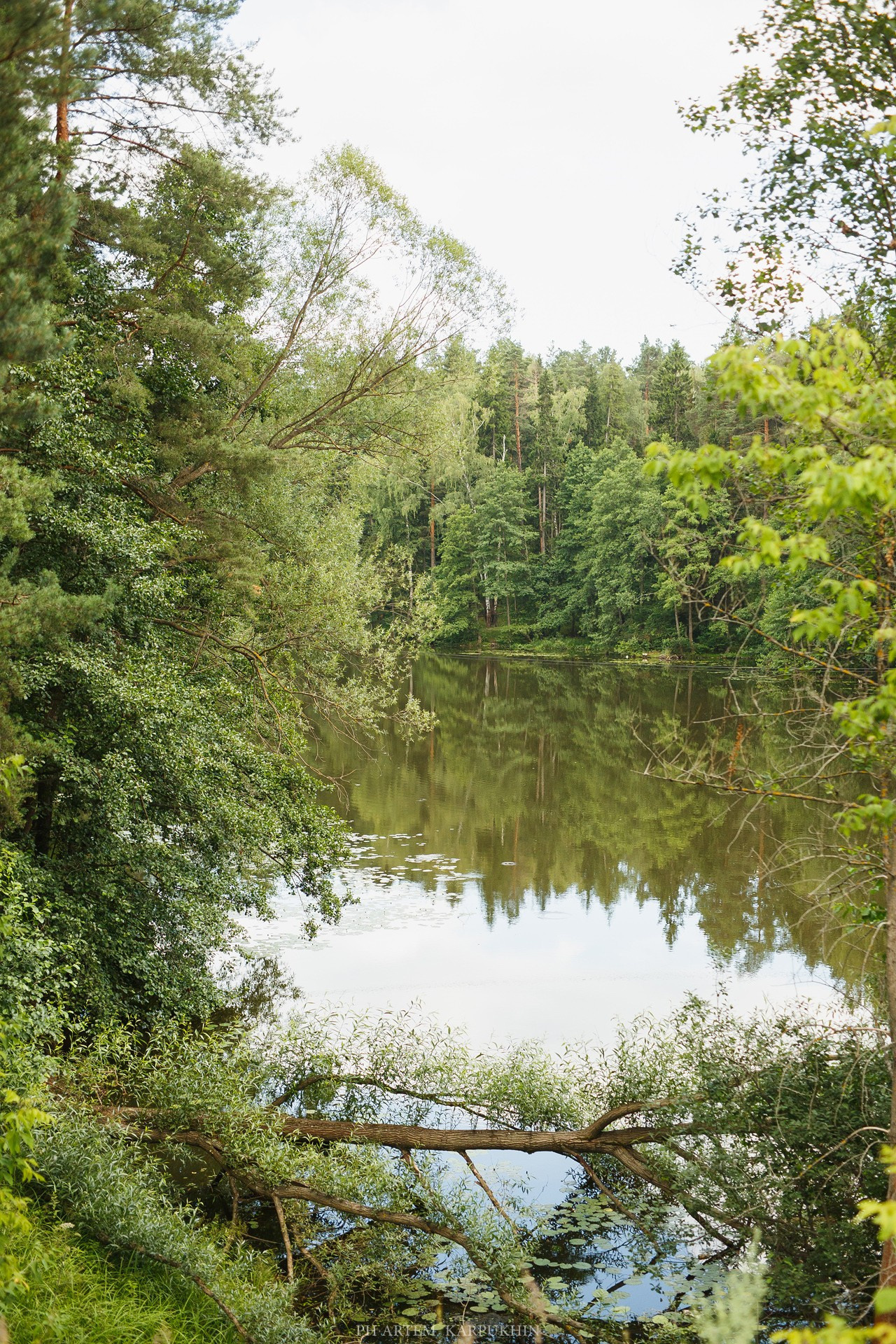 Дмитрий и Мария июль 2018 свадьба. Фотограф городских и семейных событий Артем Карпухин