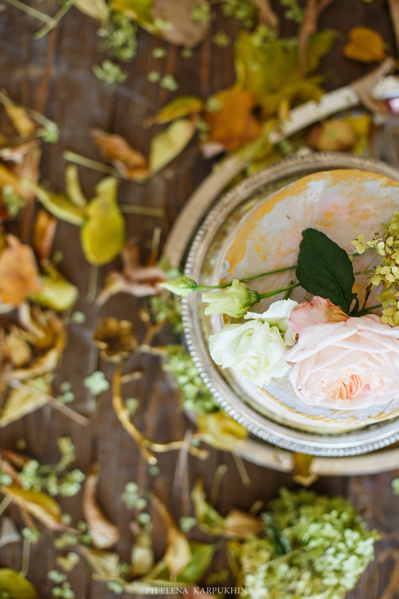 Сны Осени. Фотограф городских и семейных событий Артем Карпухин