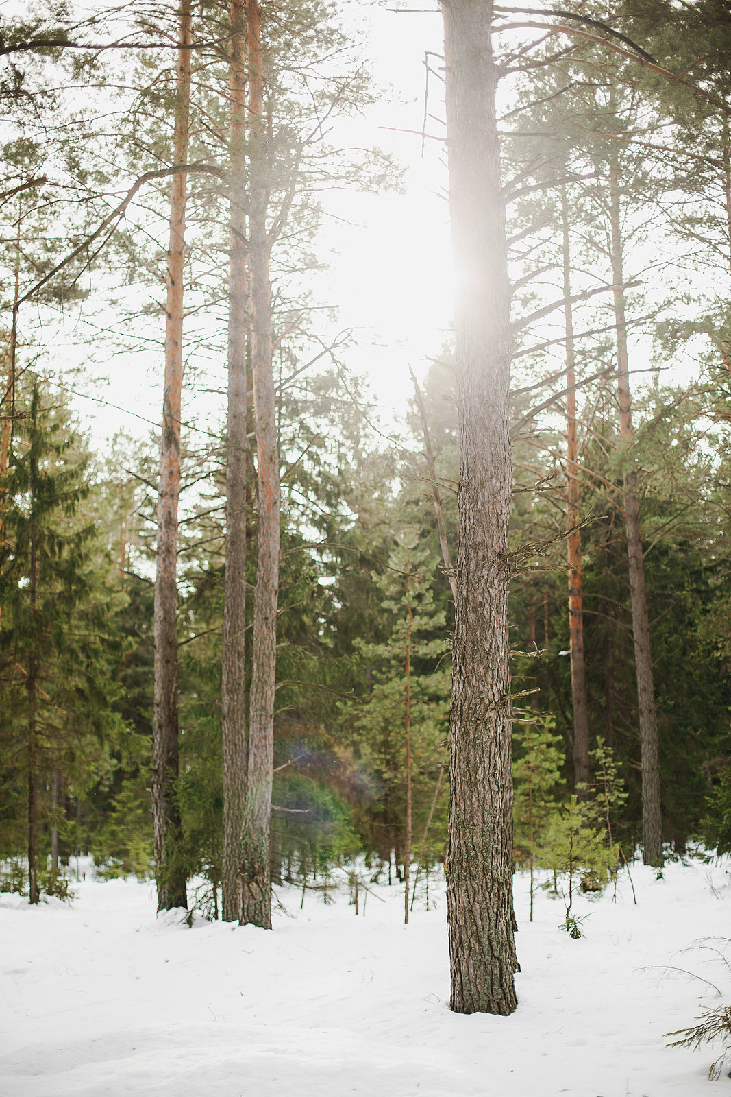 Иван и Женя зима 2016. Фотограф городских и семейных событий Артем Карпухин