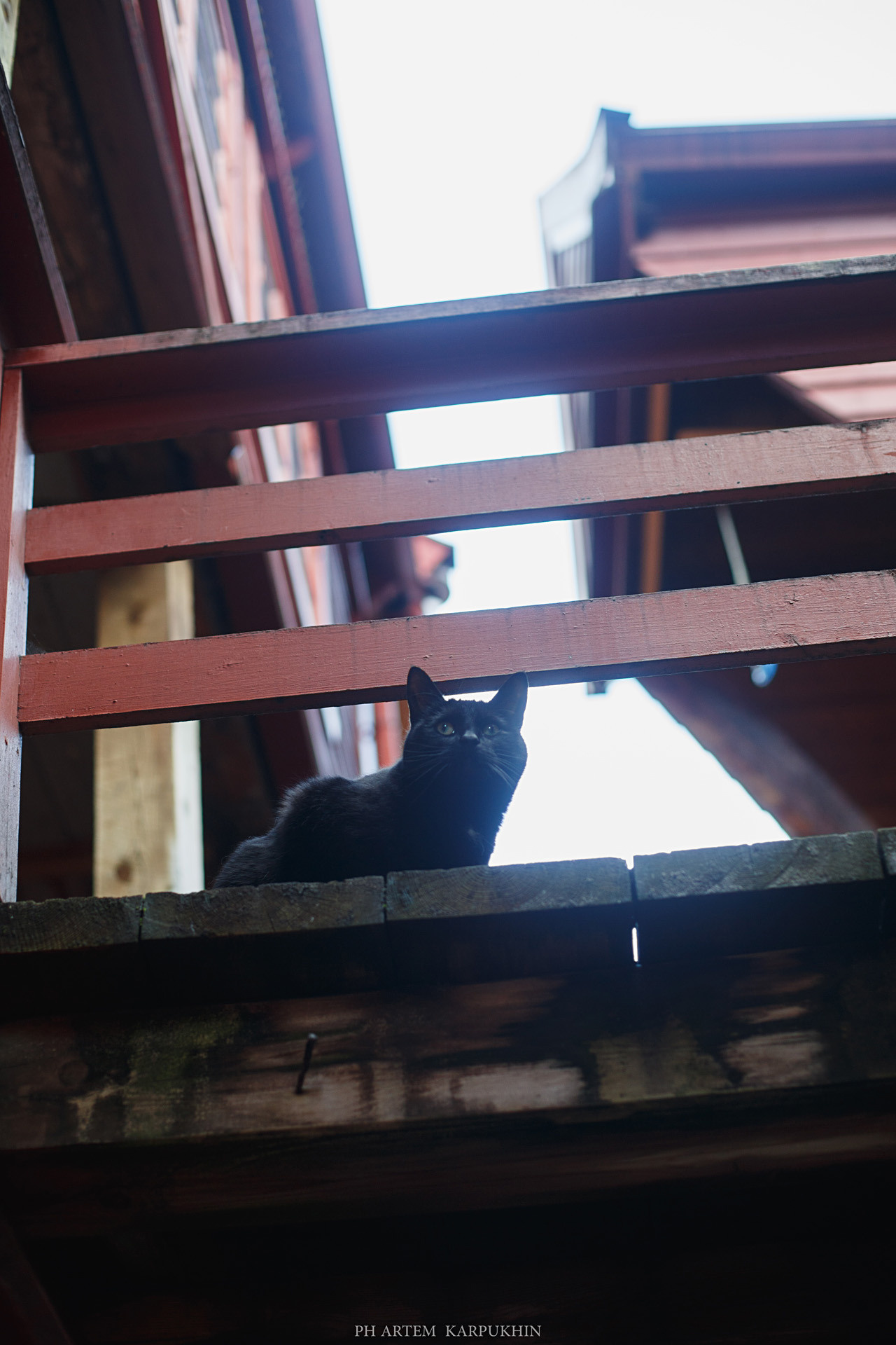 Норвегия. День 2. Bergen. Июнь 2019. Фотограф городских и семейных событий Артем Карпухин