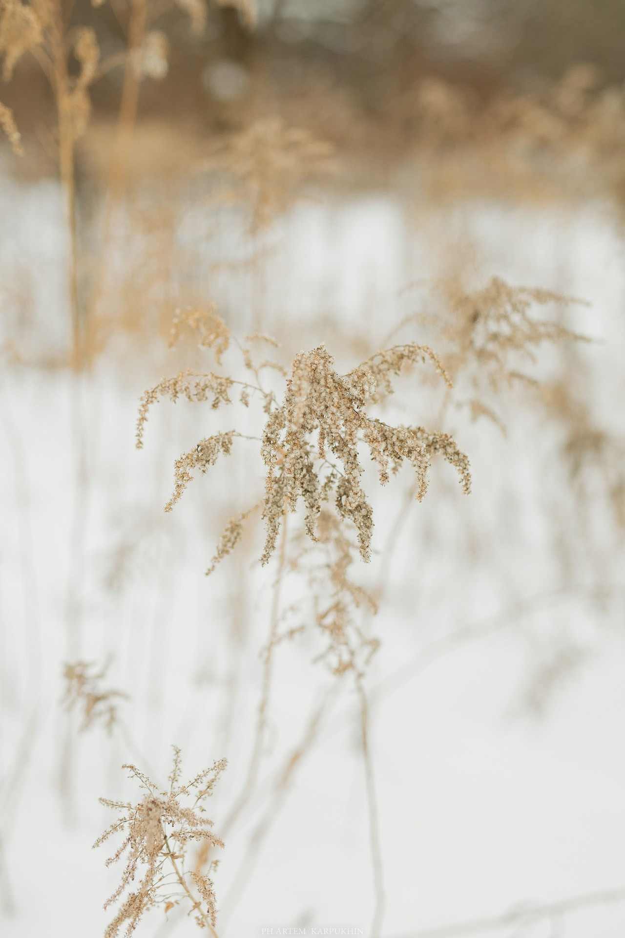 "Линии любви". Годовщина Ильи и Лианы 3.02.18. Фотограф городских и семейных событий Артем Карпухин