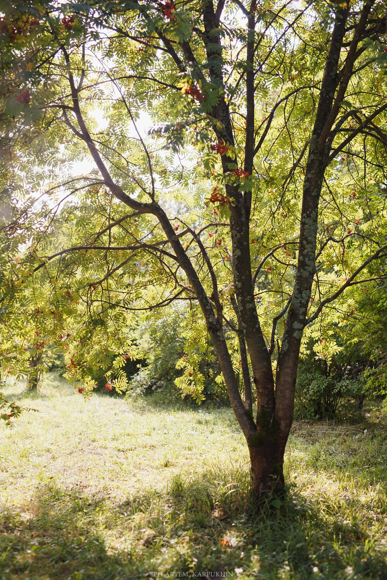 Никита и Ксения. Свадьба. Сентябрь 2018. Фотограф городских и семейных событий Артем Карпухин