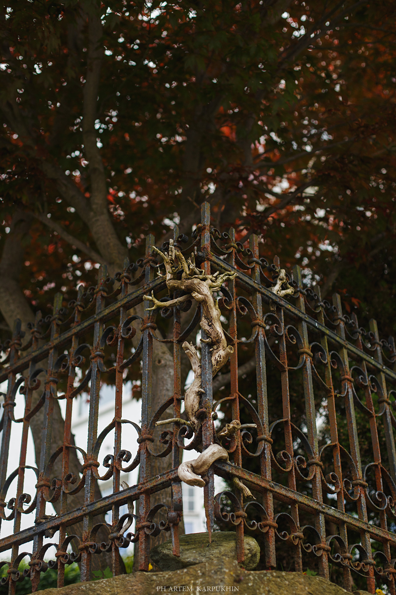 Норвегия. День 2. Bergen. Июнь 2019. Фотограф городских и семейных событий Артем Карпухин
