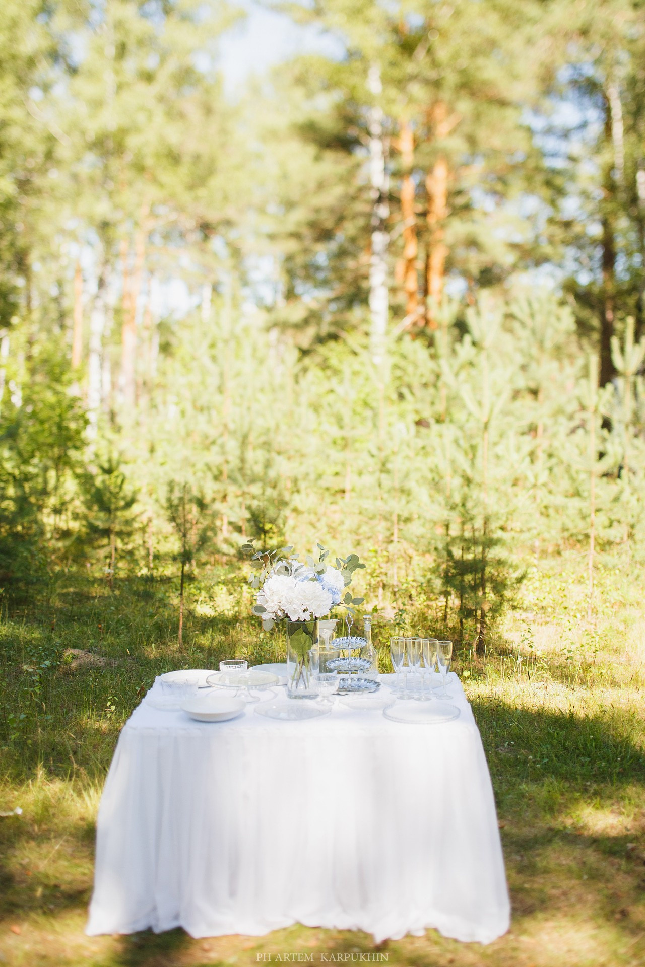 Дмитрий и Мария июль 2018 свадьба. Фотограф городских и семейных событий Артем Карпухин