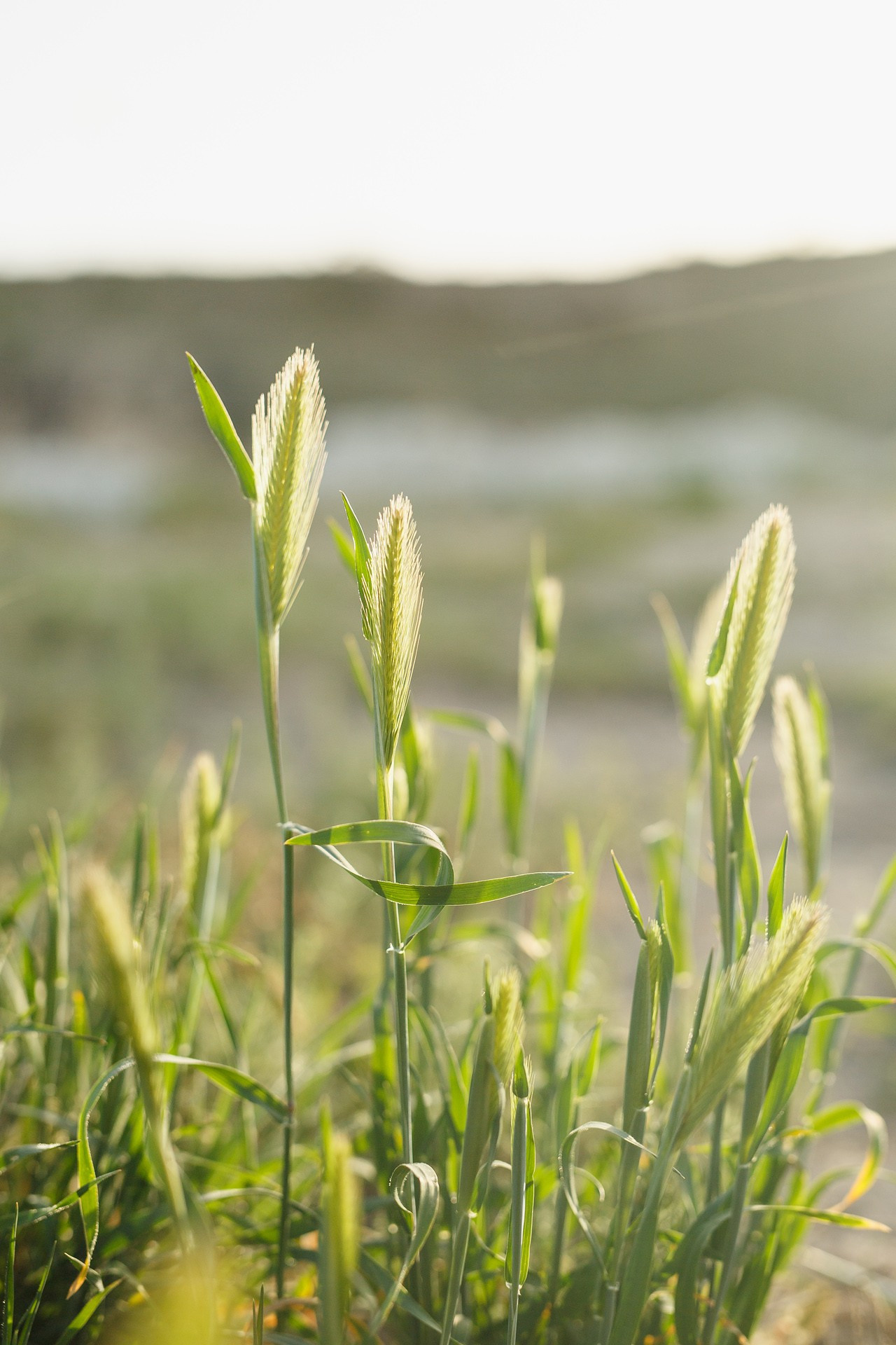 Каппадокия Турция. Свадебная фотосессия Саши и Кати. Фотограф городских и семейных событий Артем Карпухин