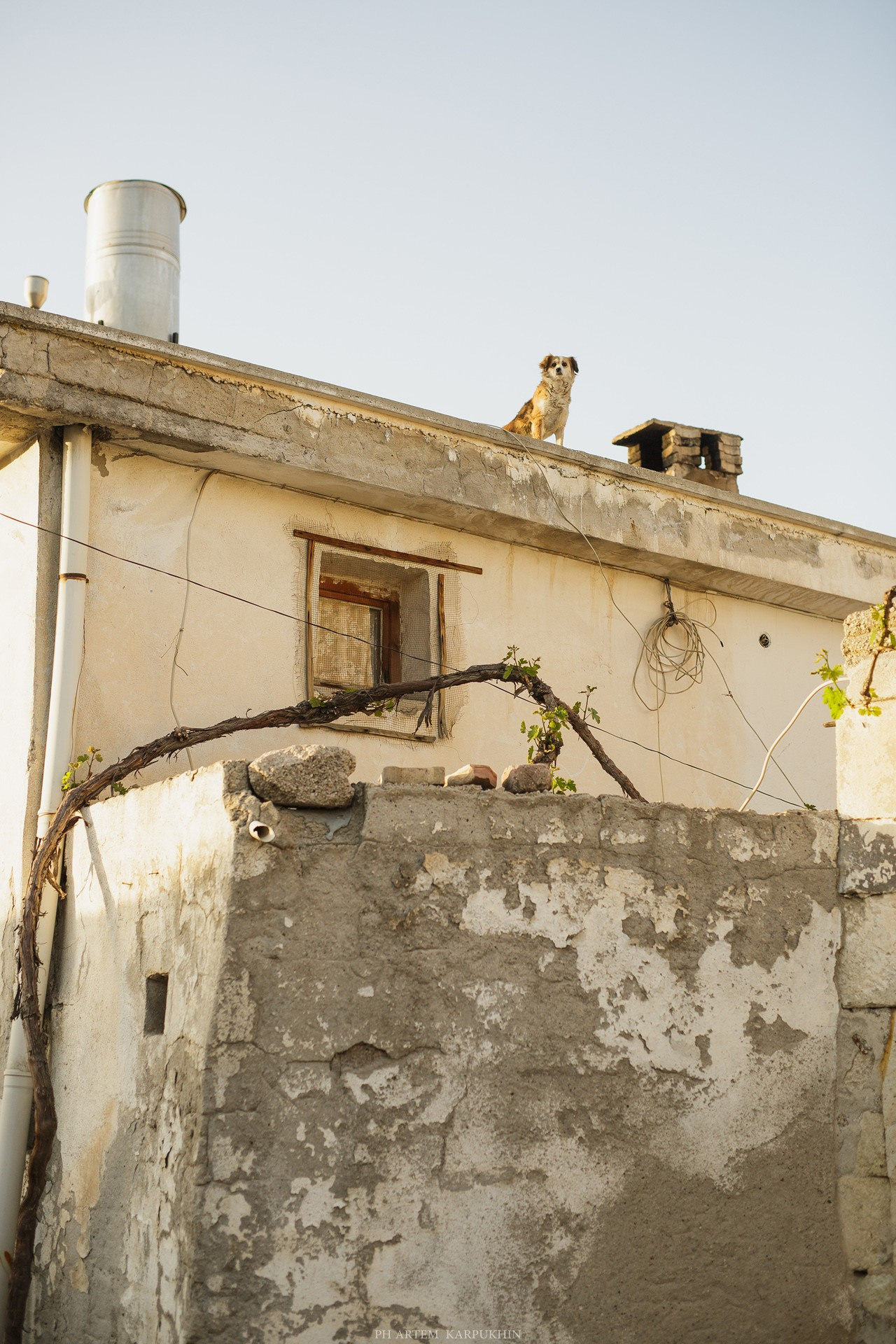 Каппадокия Турция. Саша и Катя прогулка по городу. Фотограф городских и семейных событий Артем Карпухин