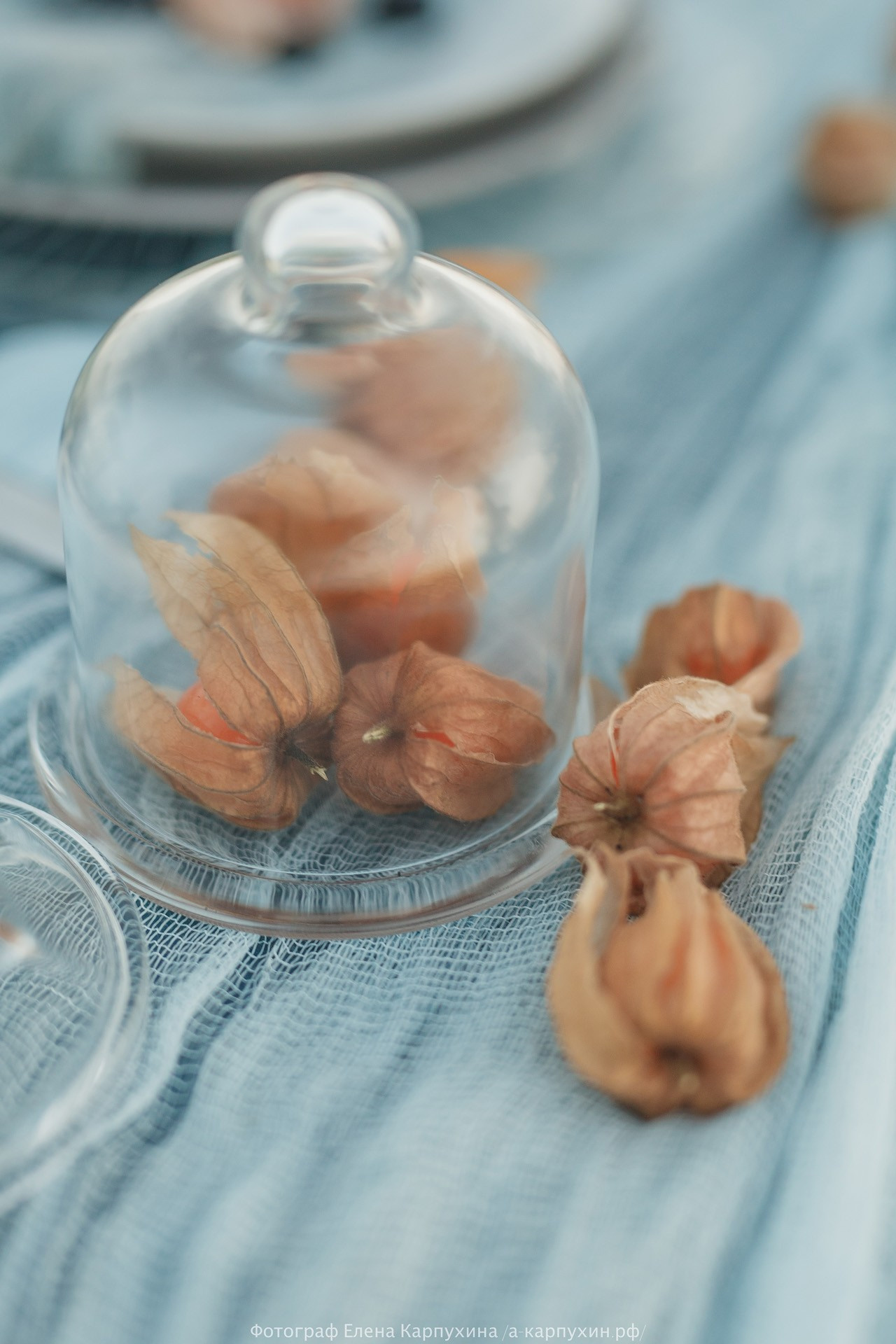 Бесконечно Твоя... Навеки твой... Айрат и Алена. лето 2017. Фотограф городских и семейных событий Артем Карпухин