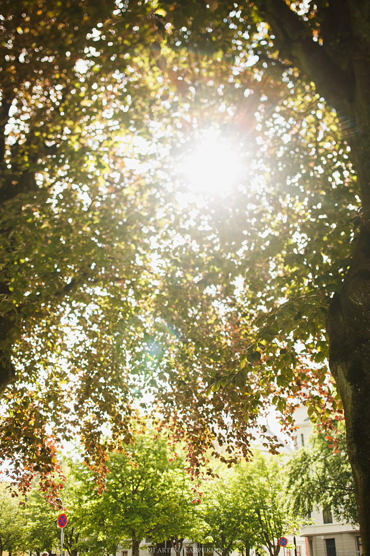 Норвегия. День 2. Bergen. Июнь 2019. Фотограф городских и семейных событий Артем Карпухин