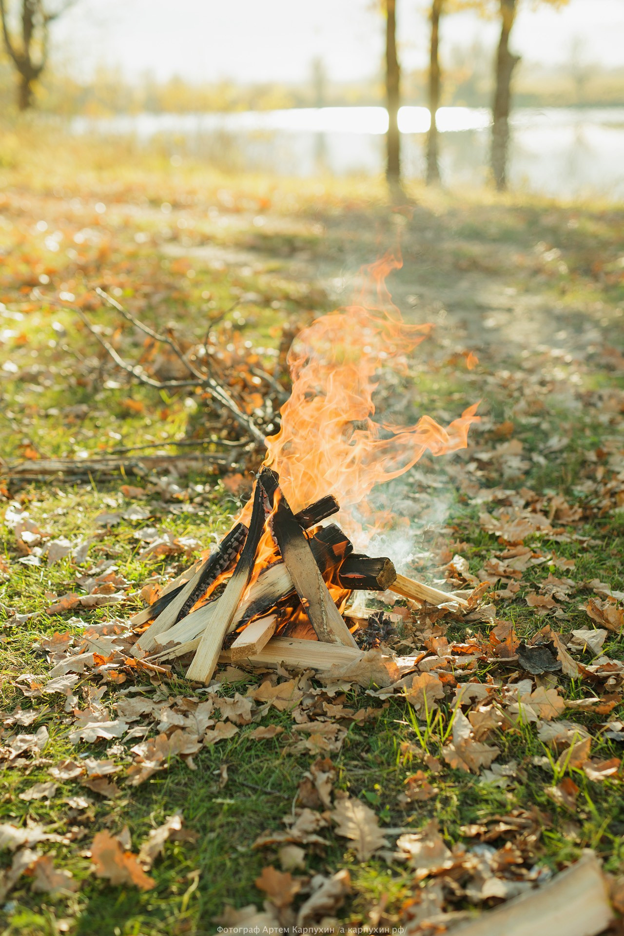 Пикник на краю осени. Коля и Женя. Октябрь 2016. Фотограф городских и семейных событий Артем Карпухин