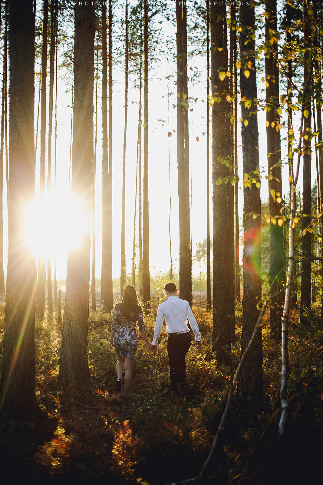 Светлая история милых людей. Алексей и Катя Севидовы. 2015. Фотограф городских и семейных событий Артем Карпухин