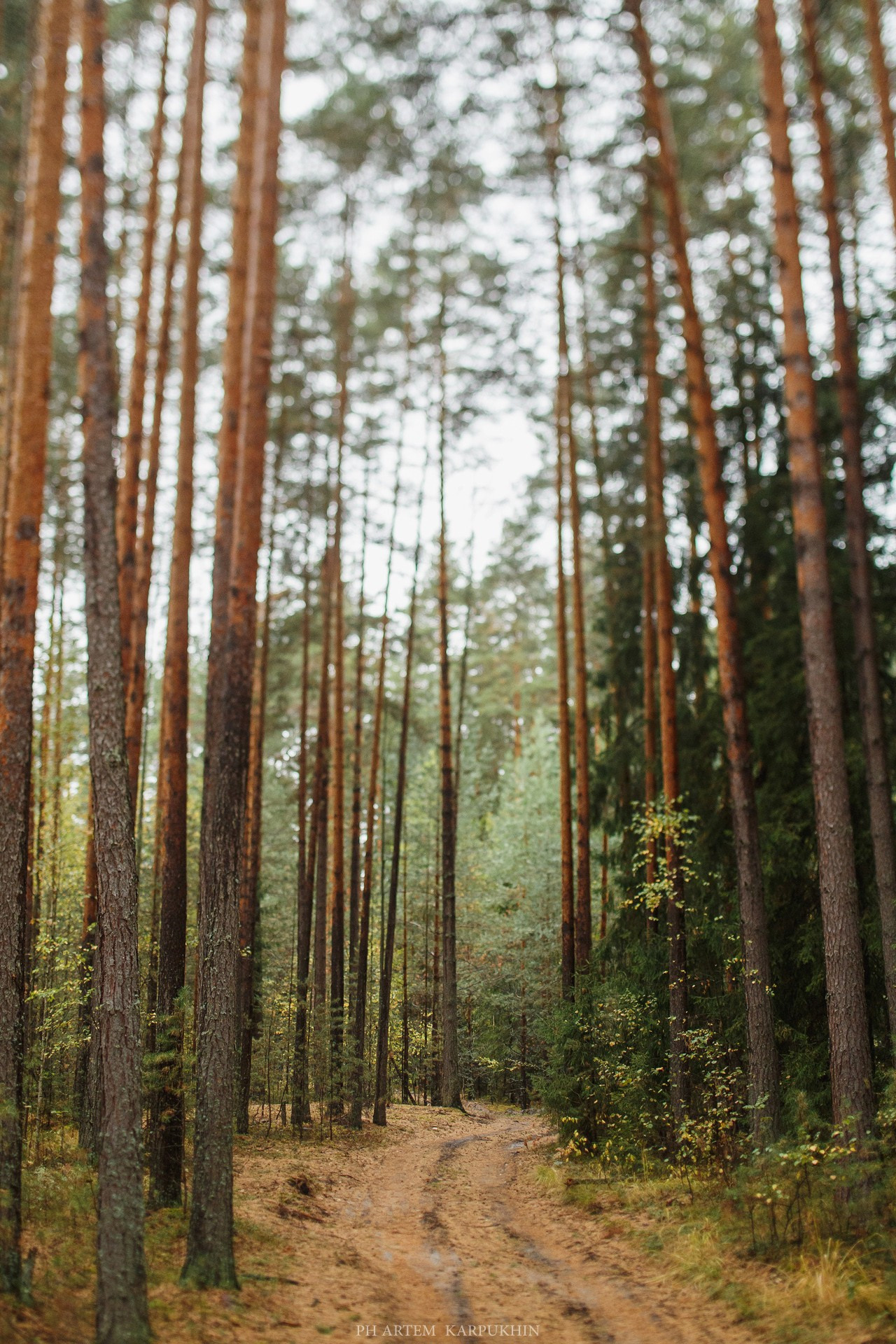 Алексей и Светлана Венчание, сентябрь 2018. Фотограф городских и семейных событий Артем Карпухин