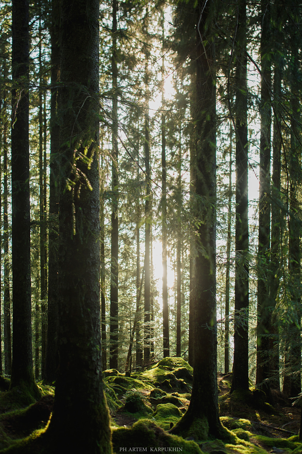Норвегия. День 2. Bergen. Июнь 2019. Фотограф городских и семейных событий Артем Карпухин