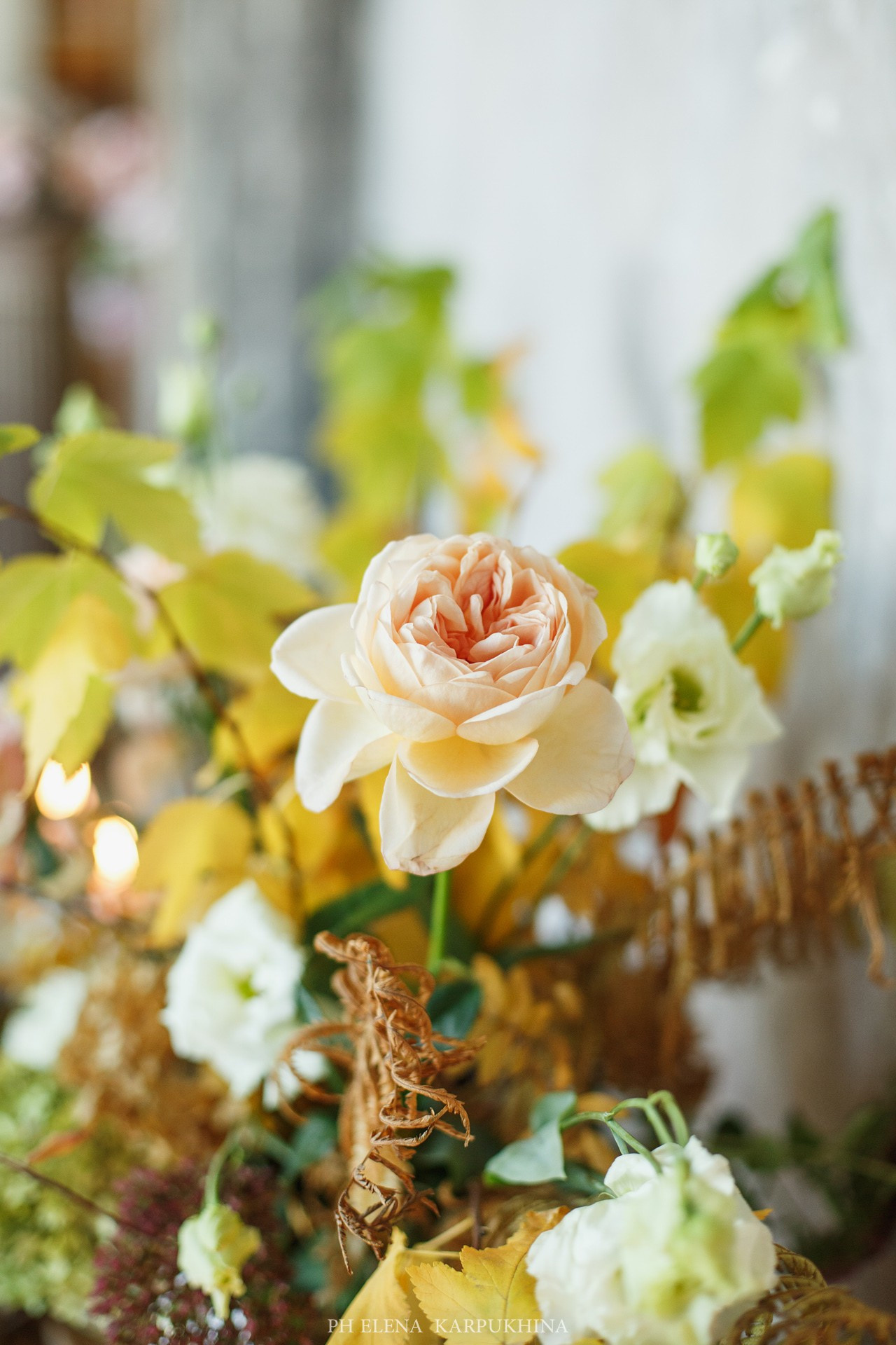 Сны Осени. Фотограф городских и семейных событий Артем Карпухин