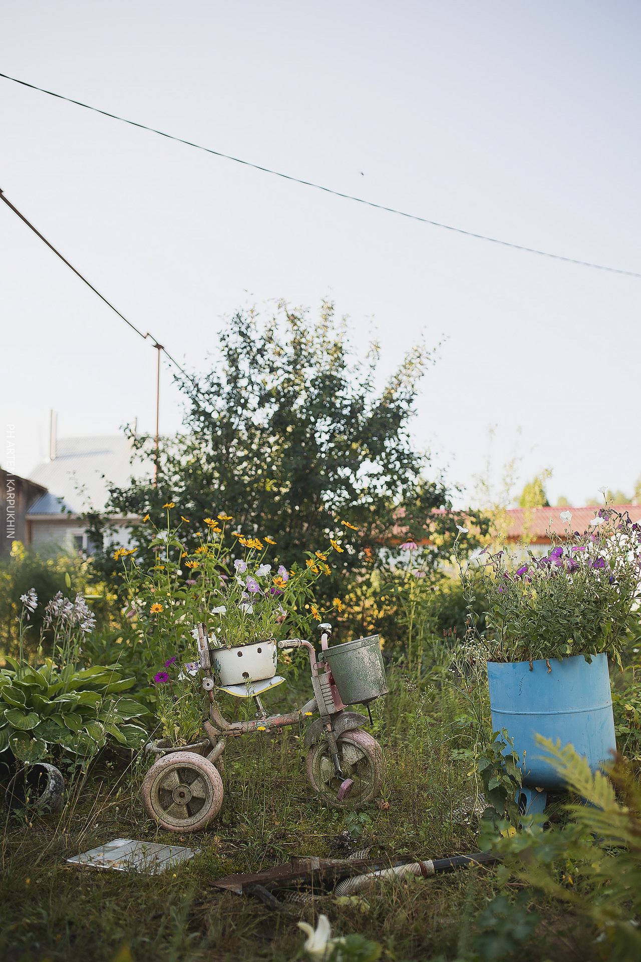 Алексей и Олеся. Фотограф городских и семейных событий Артем Карпухин