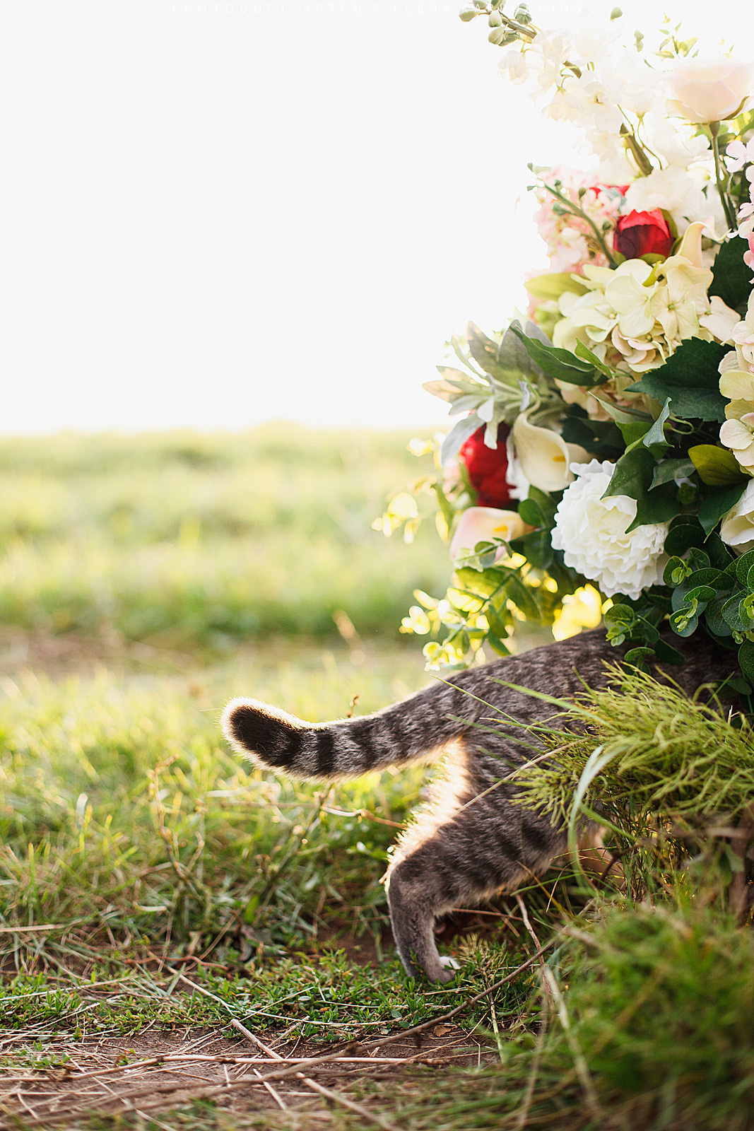 #SummerHarmony. Фотограф городских и семейных событий Артем Карпухин