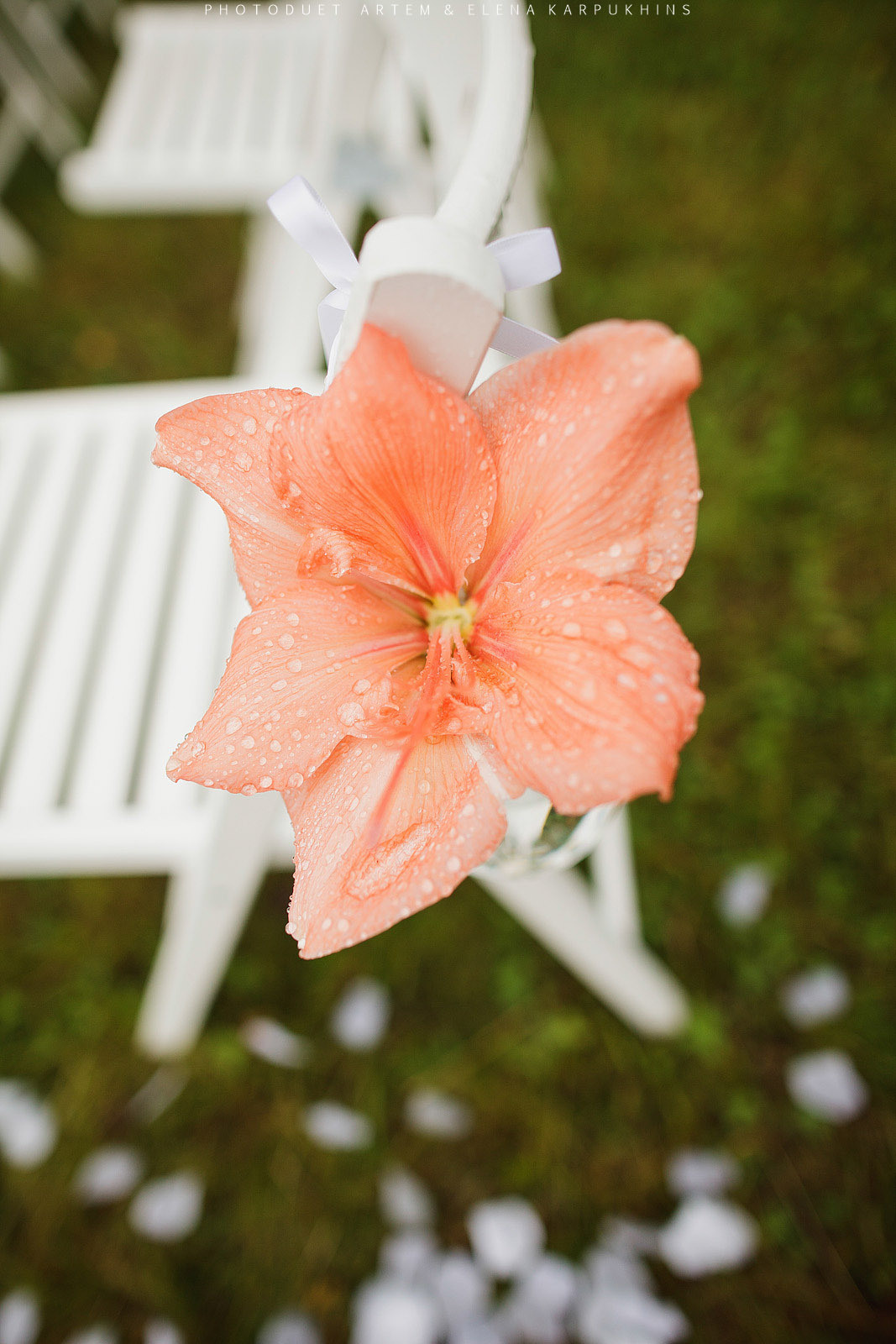 Артем и Катя 1.08.16 Свадебный день, Муром. Фотограф городских и семейных событий Артем Карпухин