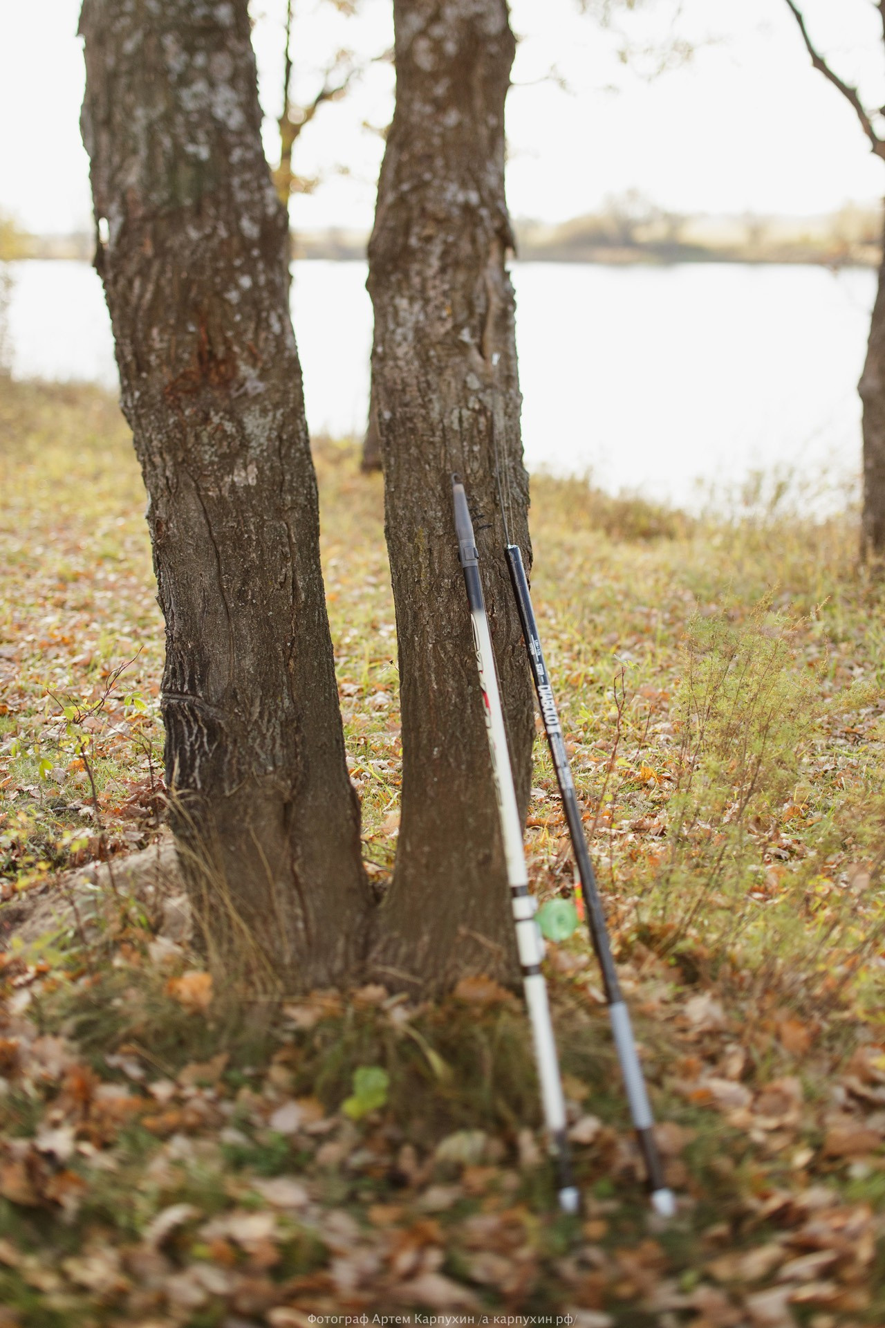 Пикник на краю осени. Коля и Женя. Октябрь 2016. Фотограф городских и семейных событий Артем Карпухин