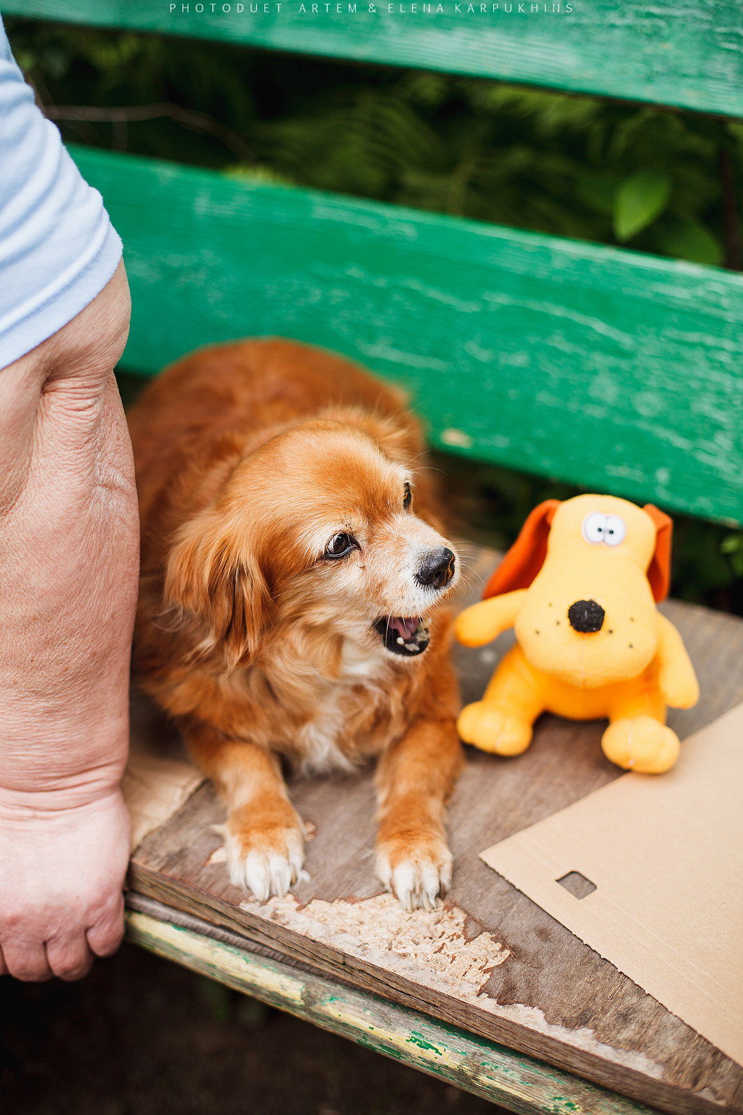 Олег и Элли 19.07.2015. Фотограф городских и семейных событий Артем Карпухин