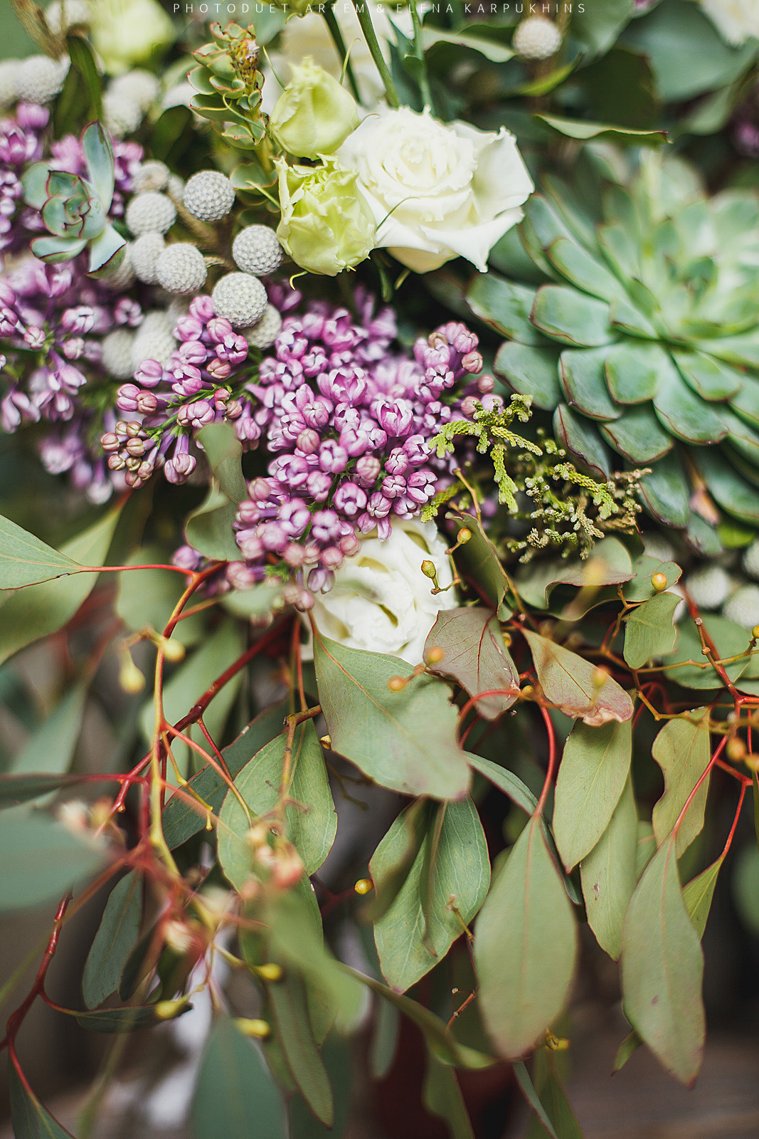 Spring Harmony. Фотограф городских и семейных событий Артем Карпухин