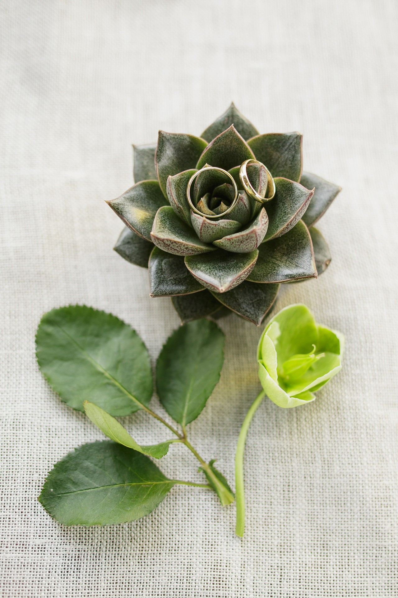 Юрий и Елена, свадебный день, июль 2017, парк-отель Перемиловы горы. Фотограф городских и семейных событий Артем Карпухин