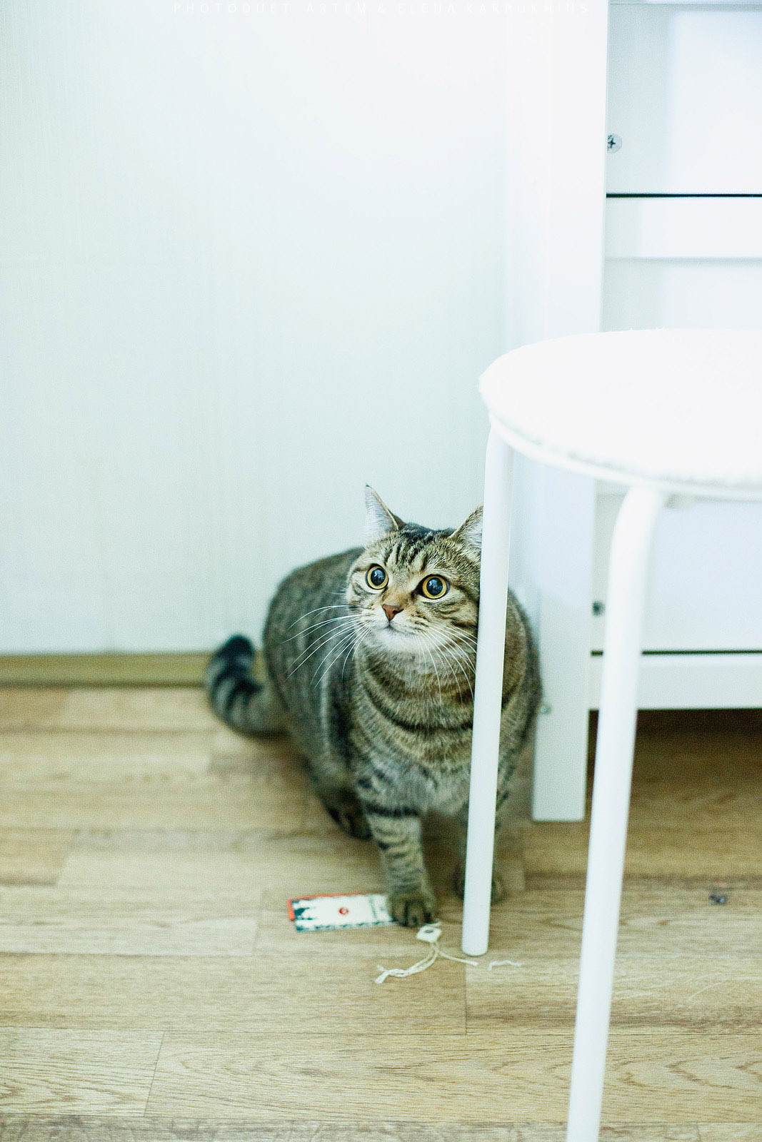 Светлая история милых людей. Алексей и Катя Севидовы. 2015. Фотограф городских и семейных событий Артем Карпухин