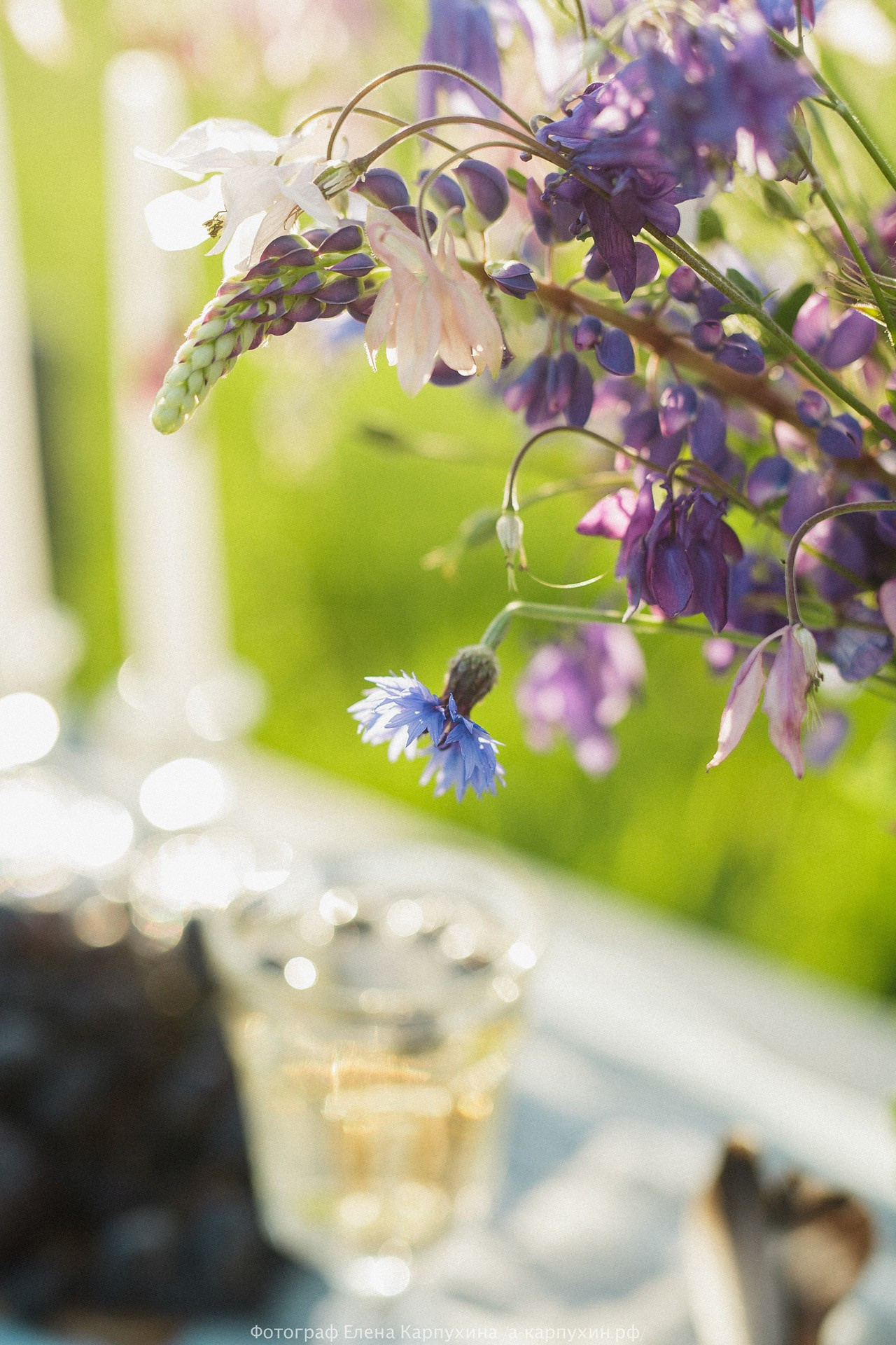 Бесконечно Твоя... Навеки твой... Айрат и Алена. лето 2017. Фотограф городских и семейных событий Артем Карпухин